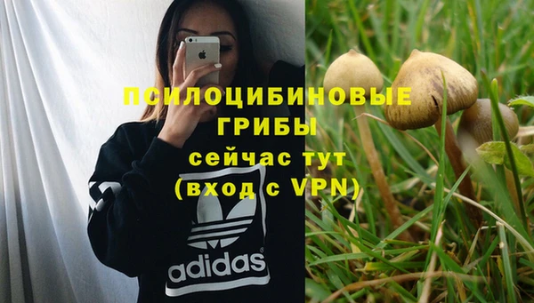 прущая мука Тында