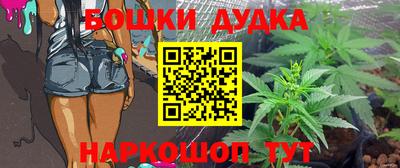 крисы Кингисепп