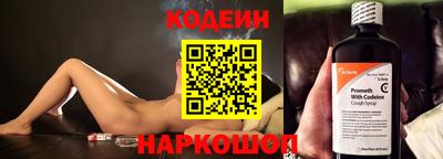 крисы Кингисепп