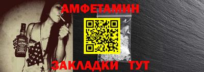крисы Кингисепп