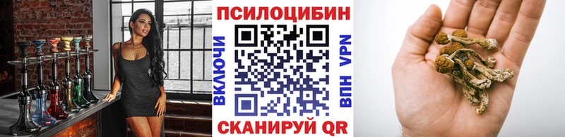 Галлюциногенные грибы Psilocybine cubensis  мега tor  мориарти официальный сайт  магазин  наркотиков  Коркино 