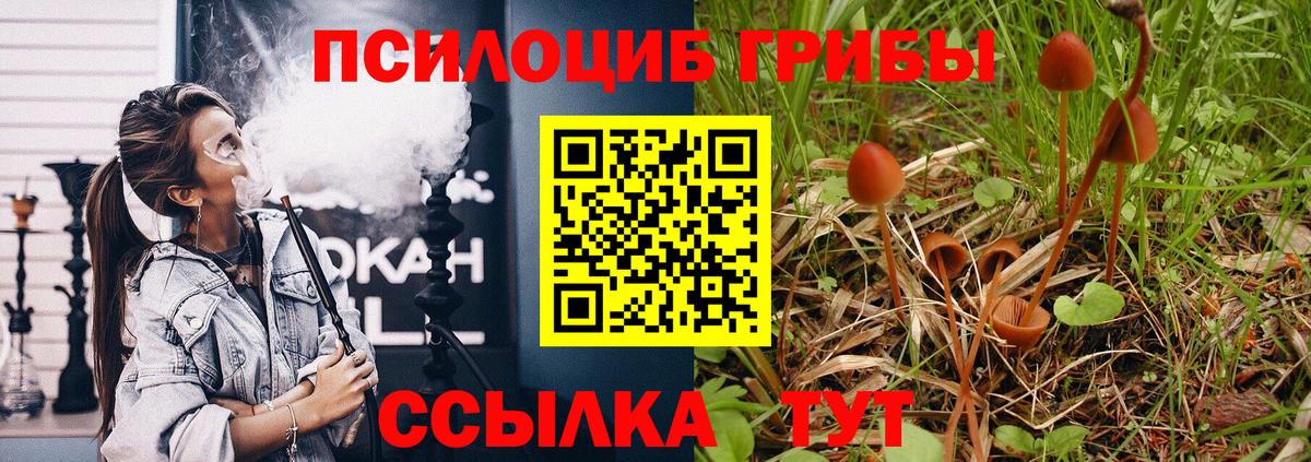 МЕФ   ГАШИШ  Вход с VPN  Конопля  Коркино  Мефедрон 