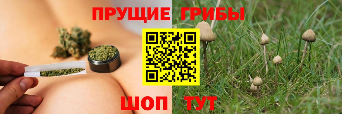 Галлюциногенные грибы мухоморы Коркино