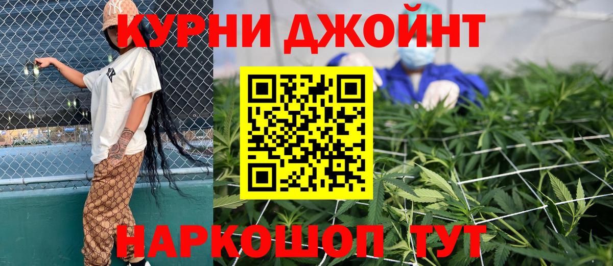 Каннабис сатива Коркино